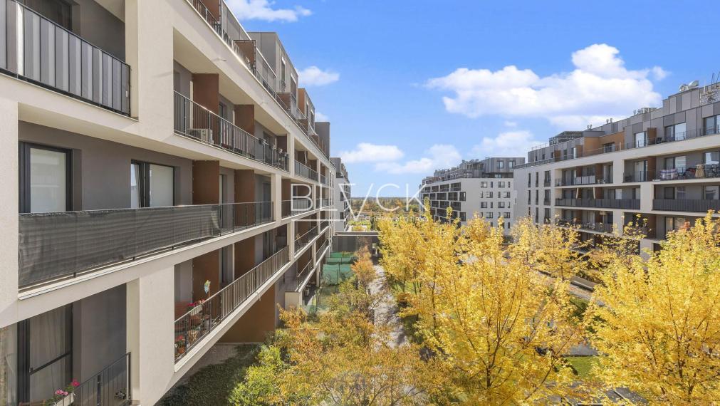 BLVCK - Slnečnice pod rukami architektov. Nie developera.