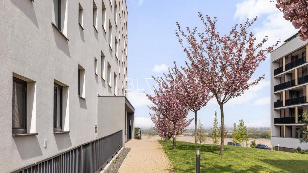 BLVCK - Bory. Bory. Bory.