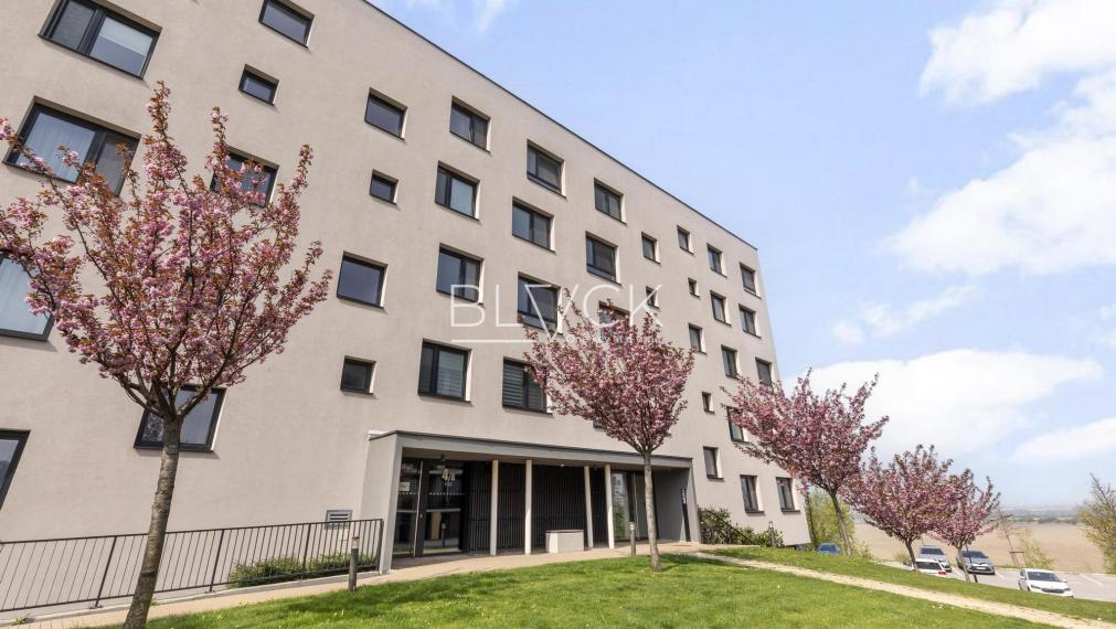 BLVCK - Bory. Bory. Bory.